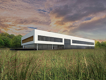 Ameren Collinsville IL